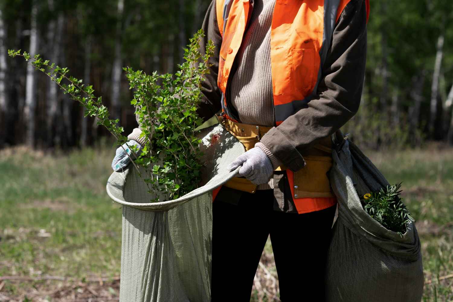 Gainesboro, TN Tree Service Company